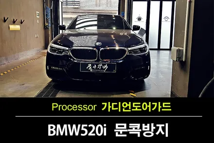 BMW 520i 카본블랙 가디언 도어가드로 문콕 보호하세요^^ by 오너프로PPF 부천직영점 / 수원 팔달