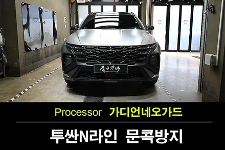 가디언 네오가드 신형 투싼 N라인도 문제 없습니다. / 수원 팔달