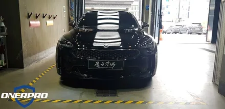 기아 스팅어 더이상의 문콕은 없다 문콕방지 가디언도어가드 / 수원 팔달