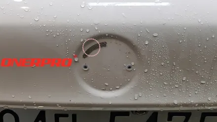 [BMW530iPPF] \