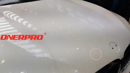[BMW530iPPF] \