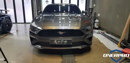 포드 머스탱 문콕방지 걱정되신다면, 가디언도어가드 / 수원 팔달