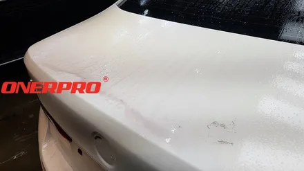 [BMW530iPPF] \