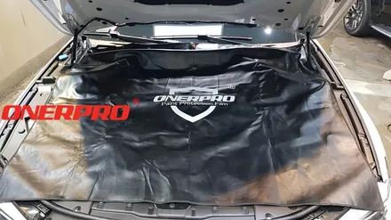 [BMW530iPPF] \