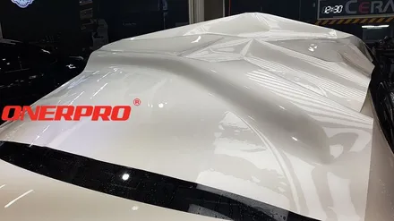 [BMW530iPPF] \