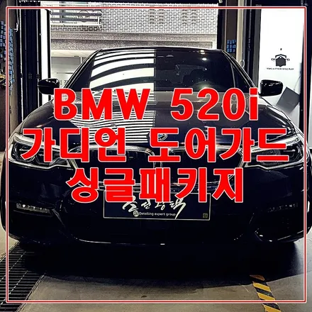 BMW 520i 카본블랙 가디언 도어가드로 문콕 보호하세요^^ by 오너프로PPF 부천직영점 / 수원 팔달