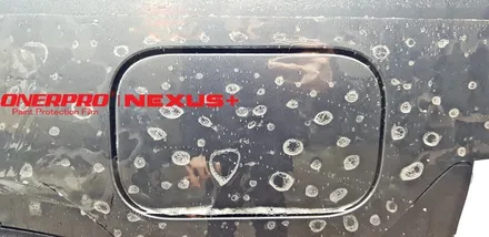 자동차 보호필름 렉스턴 스포츠 마블그레이 PPF필름 시공 오너프로 NEXUS+ 프론트풀패키지 / 수원 팔달
