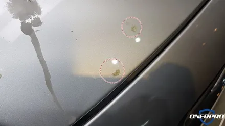 [부천시멘트물제거] 볼보S80 석회물제거는 최대한 빨리 제거해야합니다 / 수원 팔달