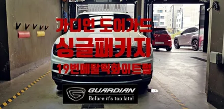 폭스바겐 티구안 퓨어화이트 가디언 도어가드 문콕보호하세요 / 수원 팔달