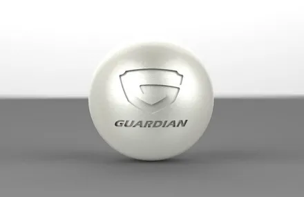 BMW 미니 컨트리맨 라이트 화이트 가디언 도어가드 문콕보호 하세요 / 수원 팔달
