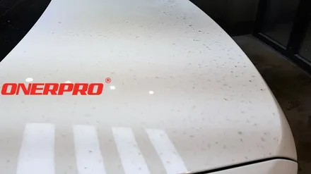 [BMW530iPPF] \