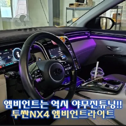길게 뻗은 엠비언트라인, 확실한 연출력!! 투싼NX4엠비언트라이트 / 경기 광주,용인,하남