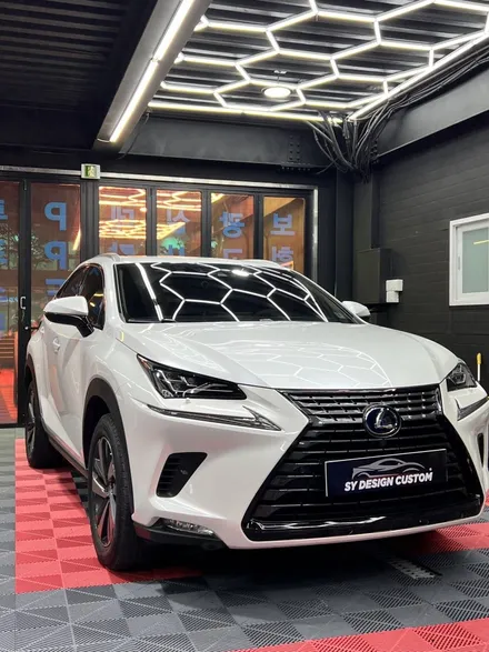 렉서스 NX300H 휠 랩핑 포인트랩핑 택랩 로즈골드 휠 랩핑 - [구미랩핑/대구랩핑/경북랩핑/sy디자인커스텀] / 구미시 선기동