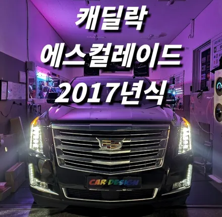 서울 광진구 캐딜락 에스컬레이드 순정보다 높은 퀄리티 수입차 엠비언트 잘하는곳 / 광진구, 성수, 송파, 동대문
