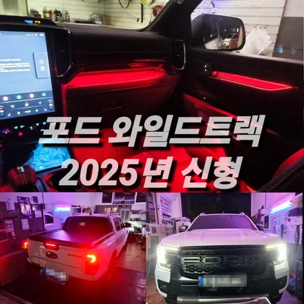 서울 광진구 포드 와일드트랙 신형 엠비언트 후기 / 광진구, 성수, 송파, 동대문