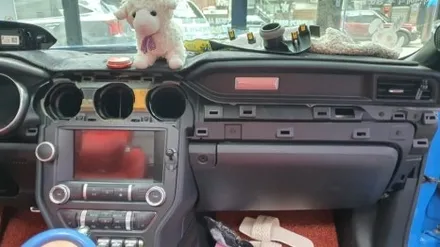 서울 광진구 에 머스탱 신형 컨버터블 엠비언트 잘하는곳을 찾았어요 / 광진구, 성수, 송파, 동대문