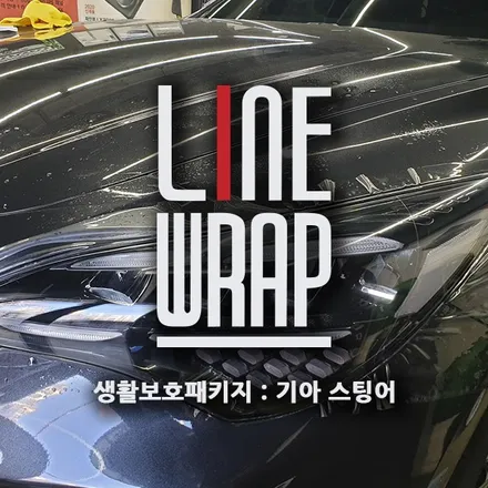 스팅어 거침없이 달릴 수 있는 생활보호패키지 시공