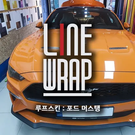 머스탱 쿠페 톡톡튀는 오렌지 컬러엔 블랙 루프스킨