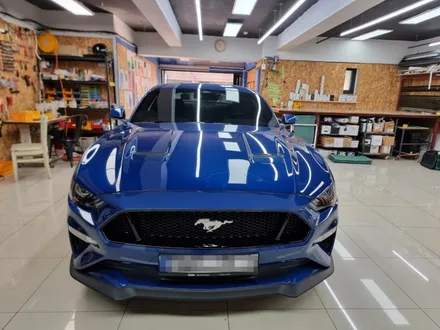 머스탱 5.0GT 쿠페 전체PPF + 스트라이프 데칼