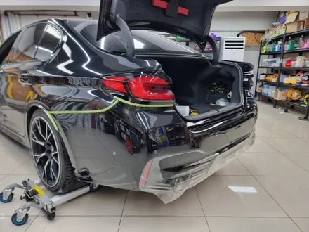 BMW M5 뒷범퍼PPF 커스텀데칼 라인데칼 트론데칼