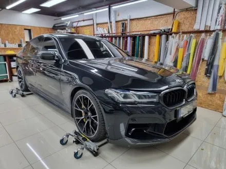 BMW M5 뒷범퍼PPF 커스텀데칼 라인데칼 트론데칼