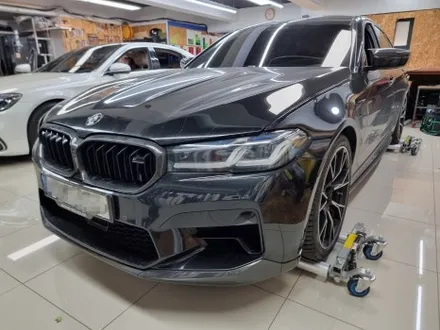 BMW M5 뒷범퍼PPF 커스텀데칼 라인데칼 트론데칼