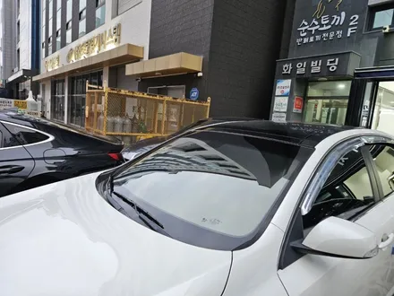 <부천 빌드업 게러지 SM5 넥스가드 카본 전체썬팅> / 경기 부천