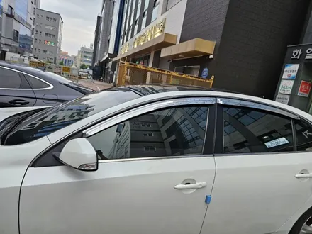 <부천 빌드업 게러지 SM5 넥스가드 카본 전체썬팅> / 경기 부천