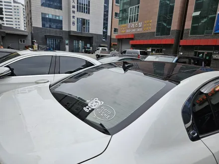 <부천 빌드업 게러지 SM5 넥스가드 카본 전체썬팅> / 경기 부천