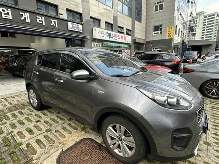 <부천 빌드업 게러지 전면유리 교체후 넥스가드 보스2 전체썬팅 과정> / 경기 부천