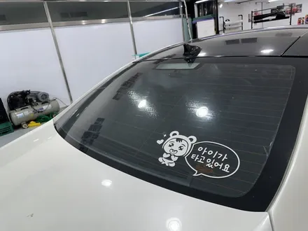 <부천 빌드업 게러지 SM5 넥스가드 카본 전체썬팅> / 경기 부천