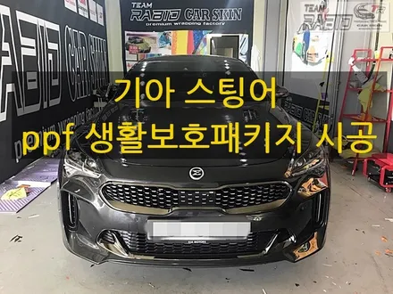 향남/화성/오산랩핑 스팅어 ppf 생활보호패키지 / 화성 봉담