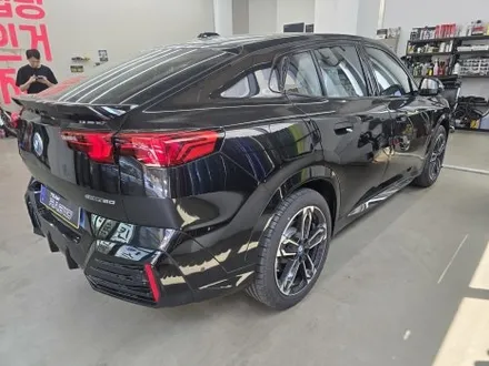 BMW iX2 전체 PPF \