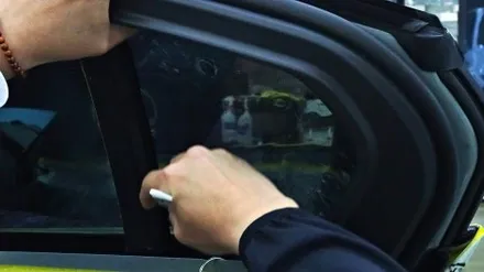 청라썬팅: BMW 520i 신차패키지 시공 맛집 틴모터스 후기