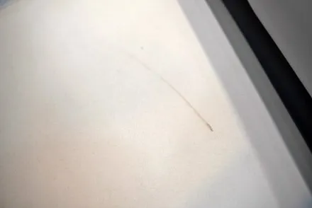 콜벳 c8 윈드쉴드로 앞유리 보호하기~