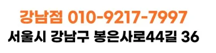 강남 PPF 합리적인 가격으로 911 카레라S 완성