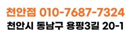 천안 PPF 팰리세이드 루프스킨 블랙으로 완성