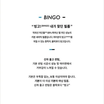 남양주 별내 틴팅 테슬라 블락포디 빙고 썬팅
