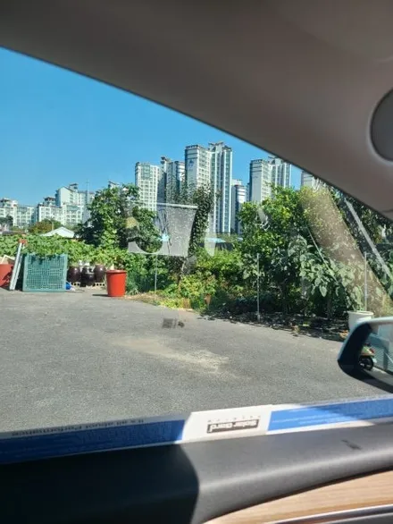 요즘 대란 2023 테슬라 모델Y 블락포디 디토 썬팅 가격