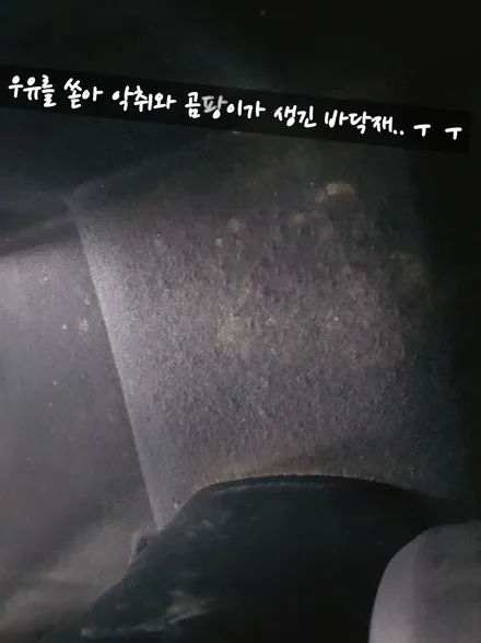 더뉴아반떼AD 실내크리닝 바닥재곰팡이제거 바닥재교체 차량바닥재교체 자동차매트 코일매트 김포한강신도시감정동 테크니컬게러지 (일산파주인천검단신도시) / 김포,일산,고양