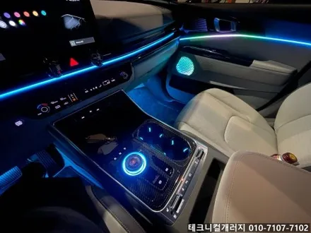 파주 고양 일산 엠비언트 순정연동 후진연동 깜빡이 차선이탈 연동?! / 김포 감정동