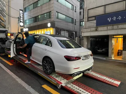 마포ppf 시공전문점 제이튠 아파트 고양이..돌빵.. 스트레스 / 서울 마포구 서교동