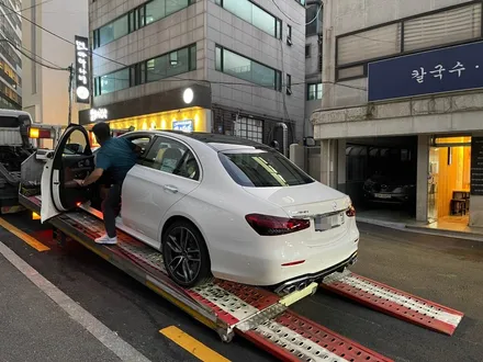 마포ppf 시공전문점 제이튠 아파트 고양이..돌빵.. 스트레스 / 서울 마포구 서교동