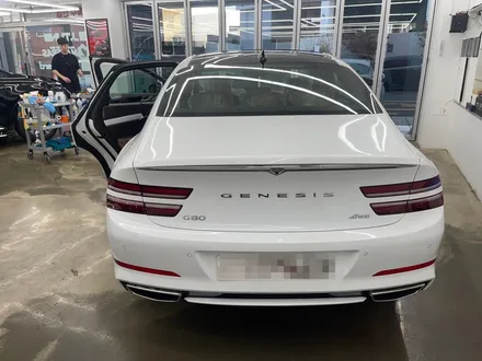 제네시스 G80 어항썬팅 루마 버텍스 900/700 / 서울 마포구 서교동