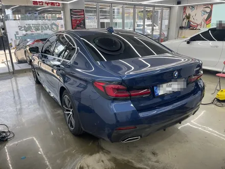 BMW 5시리즈 도어 PPF 교체 (테러로 인한 손상) STEK 다이노 실드 / 서울 마포구 서교동
