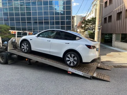테슬라 모델 Y 썬팅 버텍스 900 마포구 신차패키지 / 서울 마포구 서교동