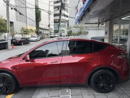 테슬라 모델 Y 주니퍼 레드 제이튠 볼텍스 IR 틴팅 신차 패키지 후기 / 서울 마포구 서교동