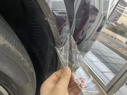 BMW 5시리즈 도어 PPF 교체 (테러로 인한 손상) STEK 다이노 실드 / 서울 마포구 서교동