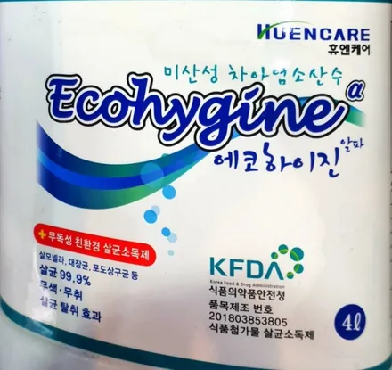 현대 투싼 살균+탈취 저온스팀 플루건 자동차 실내 코로나바이러스 대비 방역소독 특화된 최고의 제품 / 성남시 분당구 판교동