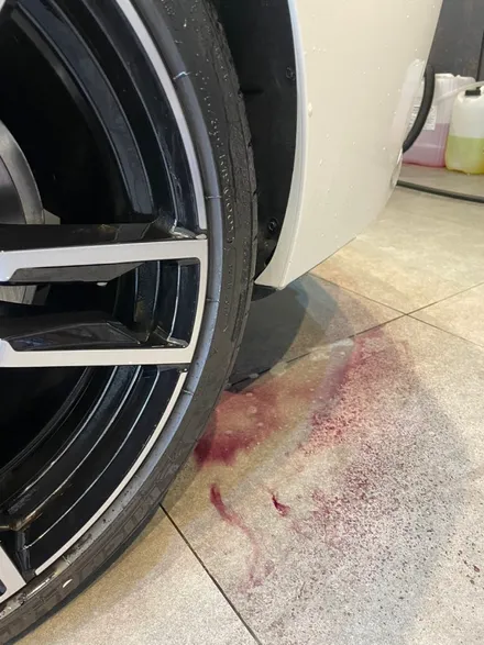 판교 신차패키지 유리막코팅+유리발수코팅+프리미엄디테일링 ~! BMW Z4 작업기 / 성남시 분당구 판교동